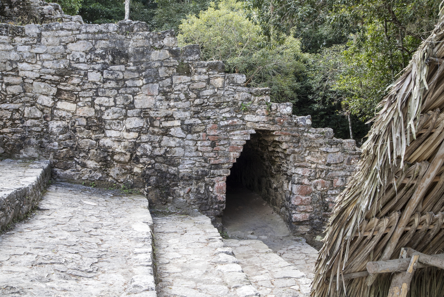 Coba Mayan Ruins, Quintana Roo, Mexico